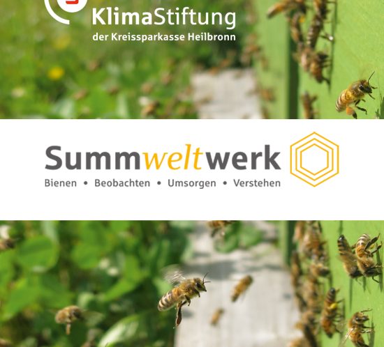 summweltwerk2