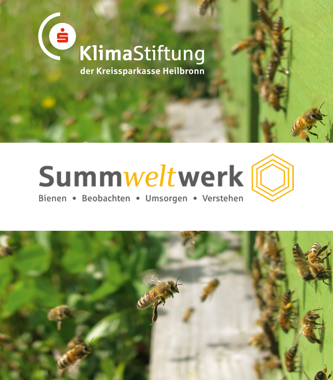 summweltwerk2