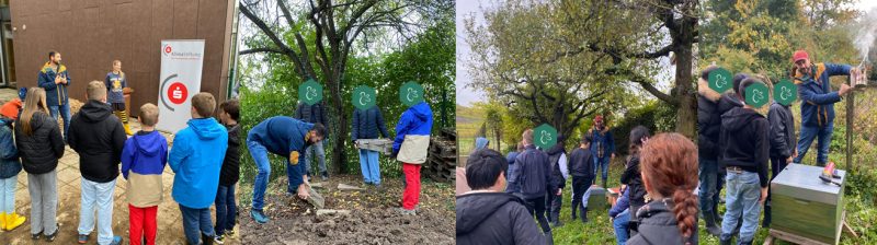 Bienenvölker ziehen ein 2 SummWeltWerk