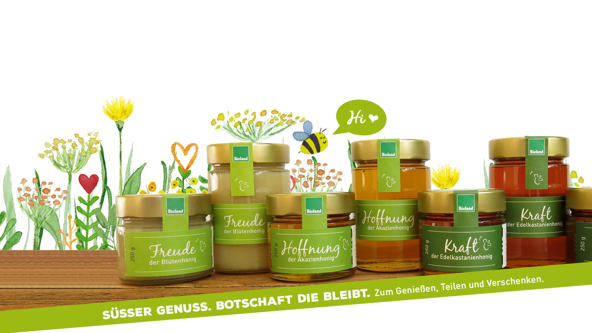 webseitebg webseitebg